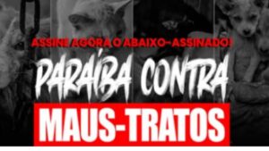 Abaixo-Assinado  Campanha “Paraíba Contra Maus-Tratos” pressiona por políticas públicas mais rigorosas e punições severas