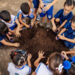 Natureza e infância: Patos apresenta projeto do Parque da Infância e realiza plantio de 50 mudas