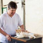 Parceria entre Ruy e UFPB fortalece proteção animal e contribui para arquivamento de inquérito do MPF
