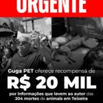 Guga Pet oferece R$ 20 mil de recompensa por informações sobre criminosos que envenenaram mais de 204 animais em Teixeira